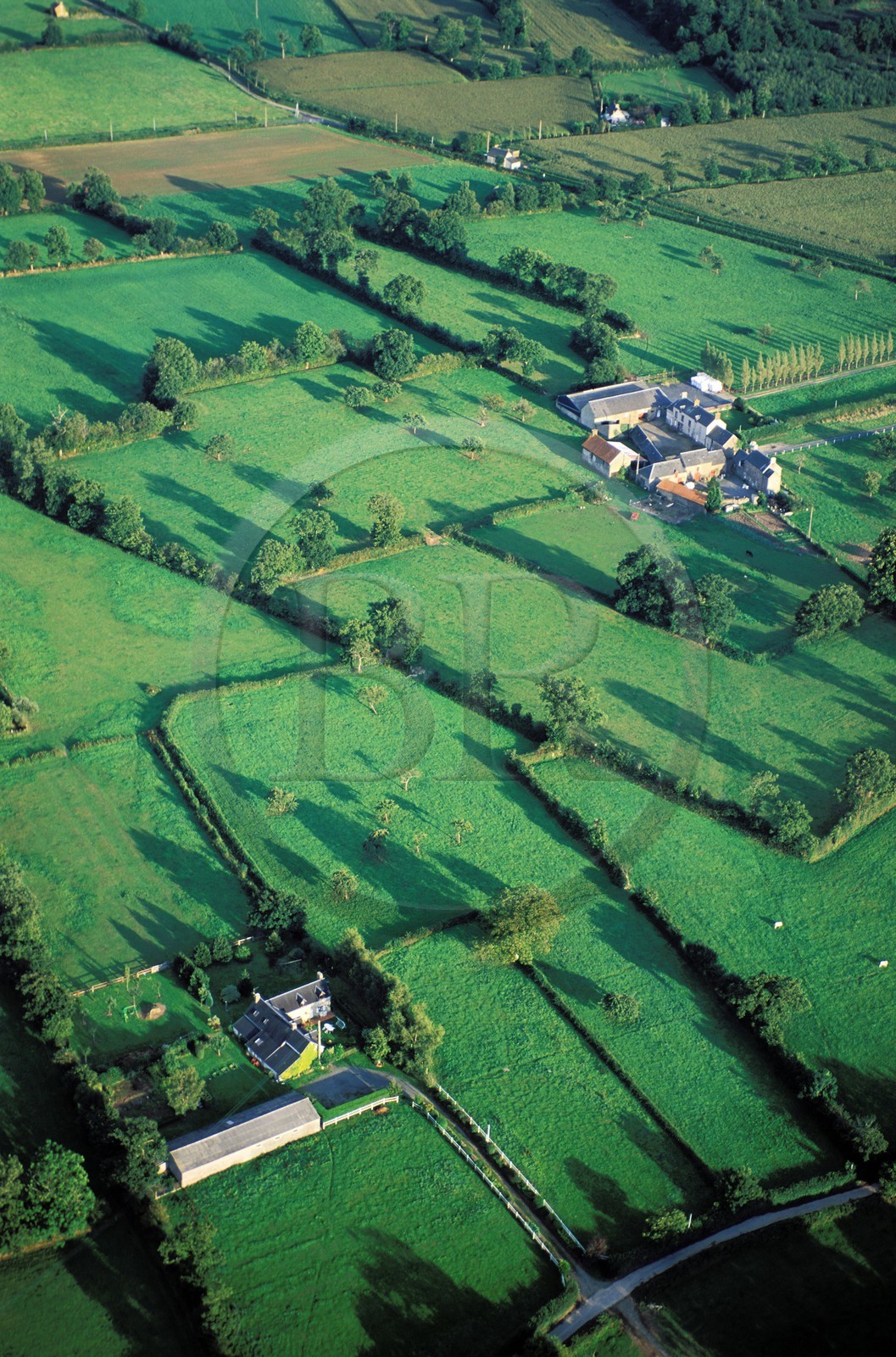 France, Manche (50),le bocage normand dans la région de Saint-Lô, (vue aérienne)