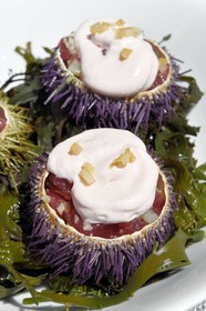 France, Alpes Maritimes, Saint Jean Cap Ferrat, Grand-Hotel du Cap Ferrat, a 5 star palace from Four Seasons Hotel, the chic poolside Club Dauphin, tuna tartare with a tarama emulsion presented in a sea urchin