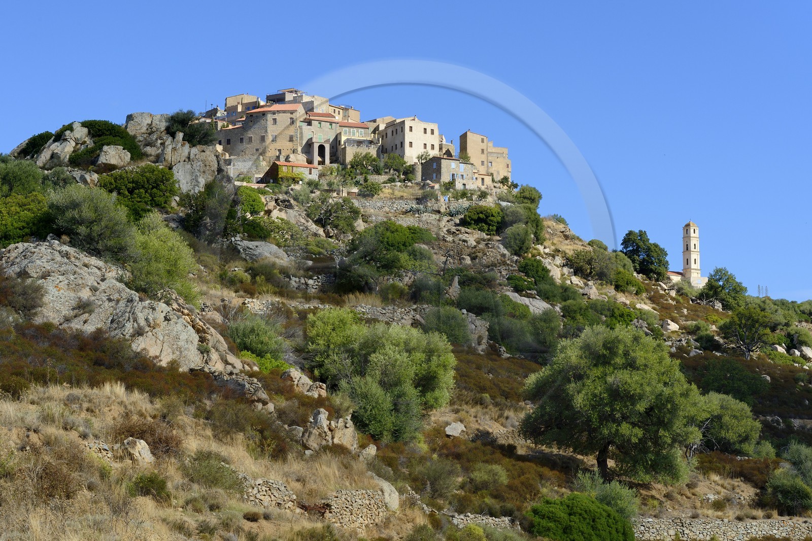 France, Haute-Corse (2B), Balagne, village perché de Sant'Antonino, labellisé Les Plus Beaux Villages de France, vue générale du village avec l'église de l'Annonciation