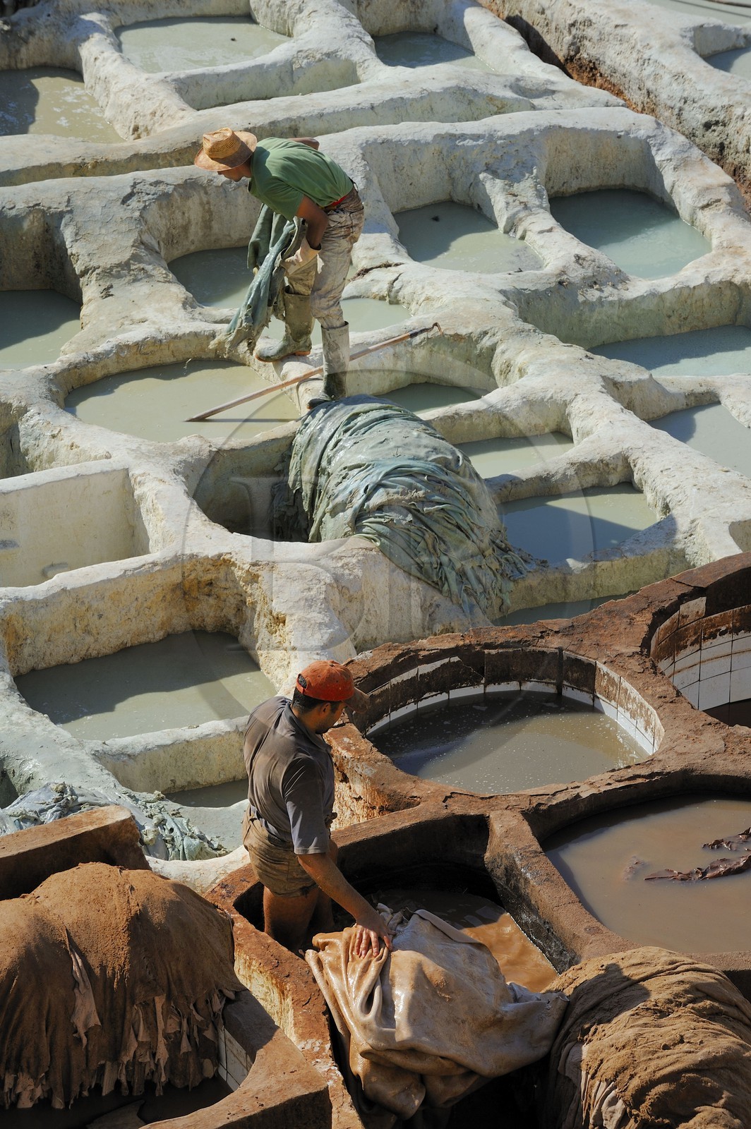 Maroc, Moyen Atlas, Fès, ville impériale, médina classée Patrimoine Mondial de l'UNESCO, Fès el Bali, quartier des tanneurs, Chouara