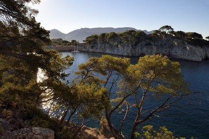 France, Bouches du Rhone, Cassis, National Park of the Calanques, Calanque de Port Miou (cove) (request for authorization necessary before publication)