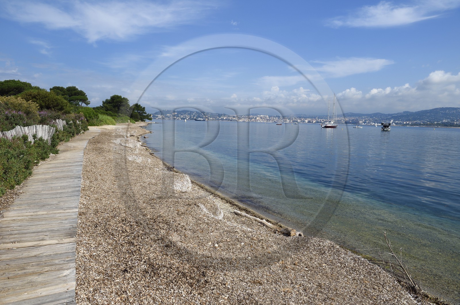 France, Alpes-Maritimes (06), Cannes, Iles de Lérins, Ile Sainte-Marguerite, la plage du Batéguier recouverte de posidonie