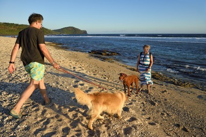 France, Ile de la Reunion, côte sud, couple de promeneurs avec leurs chiens sur la plage de Petite-Ile