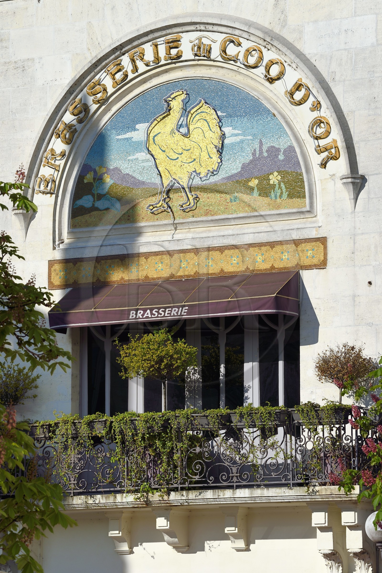 France, Charente (16), Cognac, place Francois 1er, Brasserie du Coq d'Or