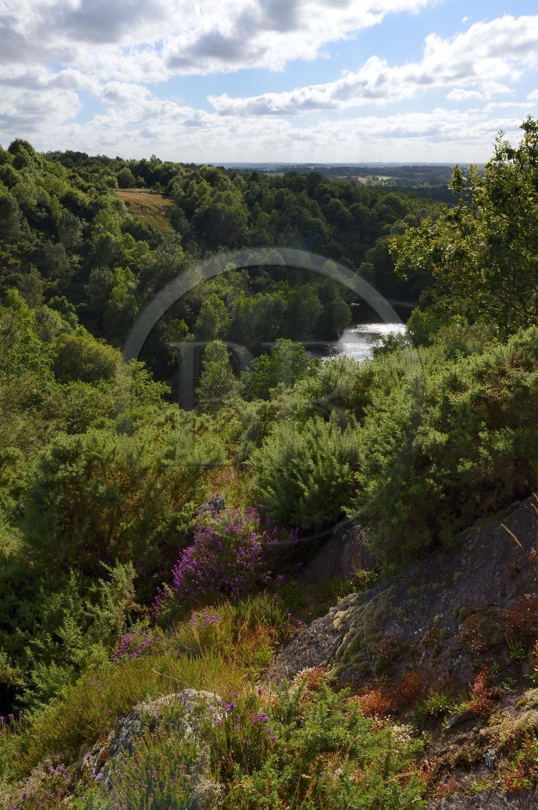 France, Morbihan (56), forêt de Brocéliande, Tréhorenteuc, la Mare aux Fées du Val sans Retour où selon la légende la Fée Morgane retenait ses amants infidèles