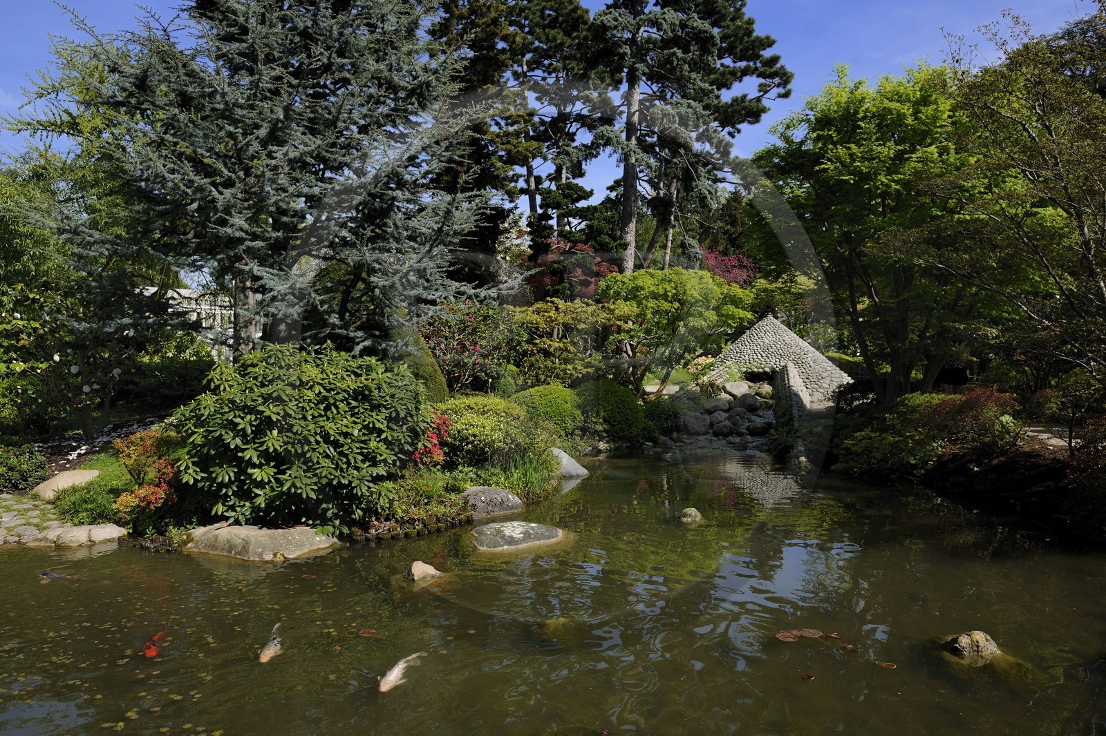 France, Hauts-de-Seine (92), Boulogne-Billancourt, le jardin japonais du musée départemental Albert-Kahn