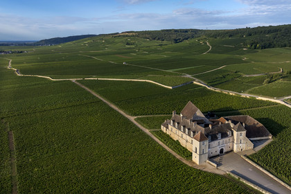 France, Cote d'Or, cultural Landscape of the climates of Burgundy listed as World Heritage by UNESCO, Route des Grands Crus (road of Vintage Wines), vineyard of the Côte de Nuits, Vougeot, the Chateau of Clos de Vougeot surrounded by vineyards (aerial view)