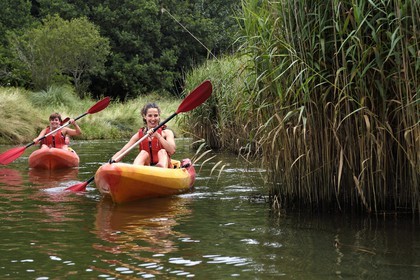 Spain, Basque Country, Biscay Province, Gernika-Lumo region, Urdaibai estuary Biosphere Reserve, kayaking on the estuary of the Oka River