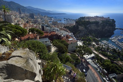 Principality of Monaco, Monaco, the Exotic Garden with a huge variety of Succulent plant species, the Rock in the background