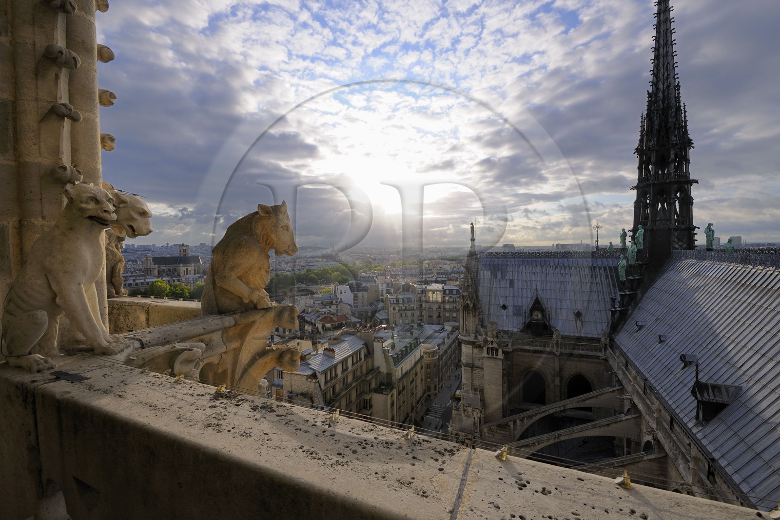 France, Paris (75), île de la Cité, la cathédrale Notre-Dame, les chimères observent la ville, le cerbère à trois têtes et le taureau debout