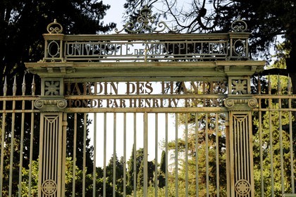 France, Herault, Montpellier,  Jardin des Plantes (botanical garden)