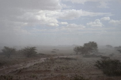 Namibia, Khomas region, Namib Desert East of the Namib Naukluft National Park, under a stormy rain