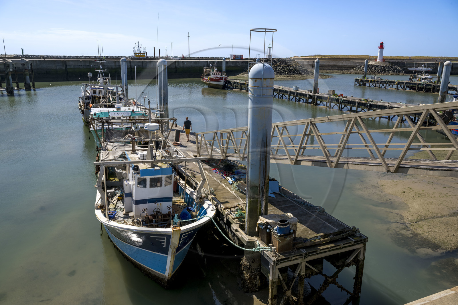 France, Charente-Maritime (17), Ile d'Oléron, port de La Cotinière