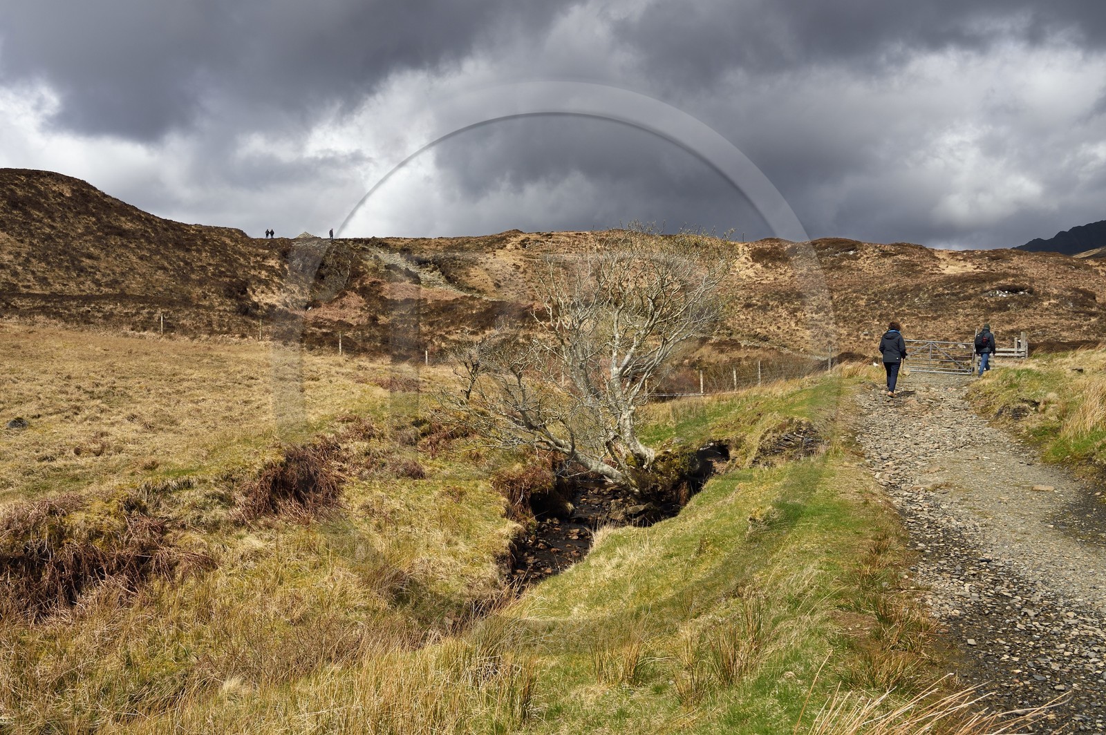 Royaume-Uni, Ecosse, région des Highlands, les Hébrides, Ile de Skye, randonnée vers les Black Cuillin Mountains sur le chemin de Camasunary