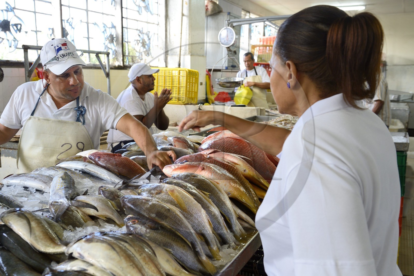 Panama, Panama City, quartier de Santa Ana, le marché aux poisson (Mercado de Mariscos)