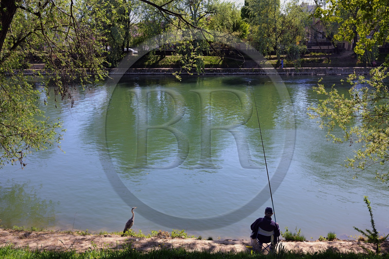 France, Val-de-Marne (94), les bords de Marne, Champigny-sur-Marne, le pêcheur Jean et le Héron cendré (Ardea cinerea) qui se tient régulièrement à ses côtés