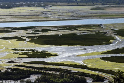 Spain, Basque Country, Biscay Province, Gernika-Lumo region, Urdaibai estuary Biosphere Reserve, estuary of the Oka River at low tide