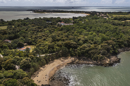 France, Charente-Maritime (17), Ile d'Aix, la crique de la plage des Sables d’Or au nord de l'ile (vue aérienne)