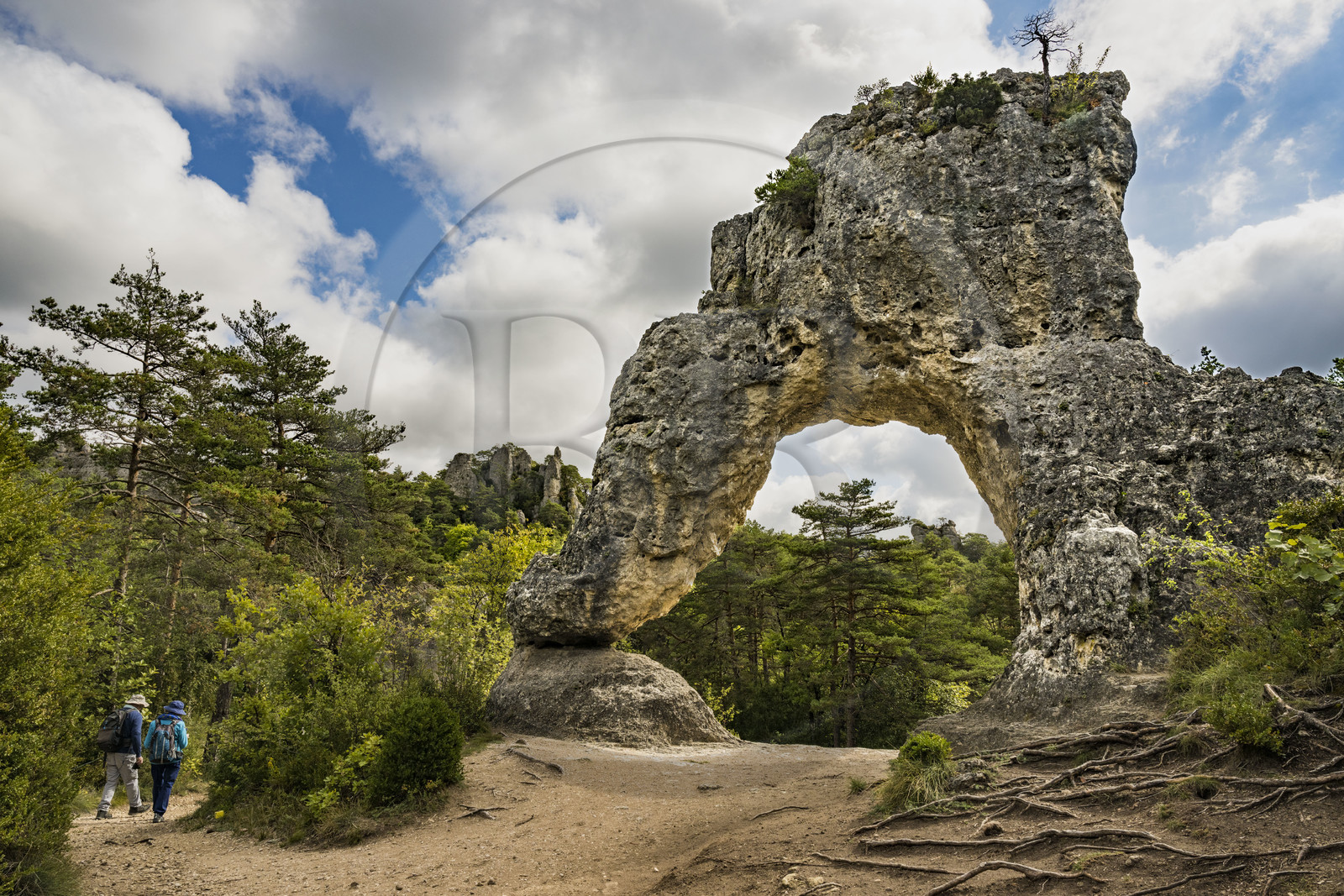 France, Aveyron (12), Causses et les Cévennes, paysage culturel de l'agro-pastoralisme méditerranéen, classés Patrimoine Mondial de l'UNESCO, Causse Noir, La Roque-Sainte-Marguerite, chaos de Montpellier-le-Vieux, la Cité de Pierres, rocher nommé Porte de Mycènes France, Aveyron (12), Causses et les Cévennes, paysage culturel de l'agro-pastoralisme méditerranéen, classés Patrimoine Mondial de l'UNESCO, Causse Noir, La Roque-Sainte-Marguerite, chaos de Montpellier-le-Vieux, la Cité de Pierres, rocher nommé Porte de Mycènes