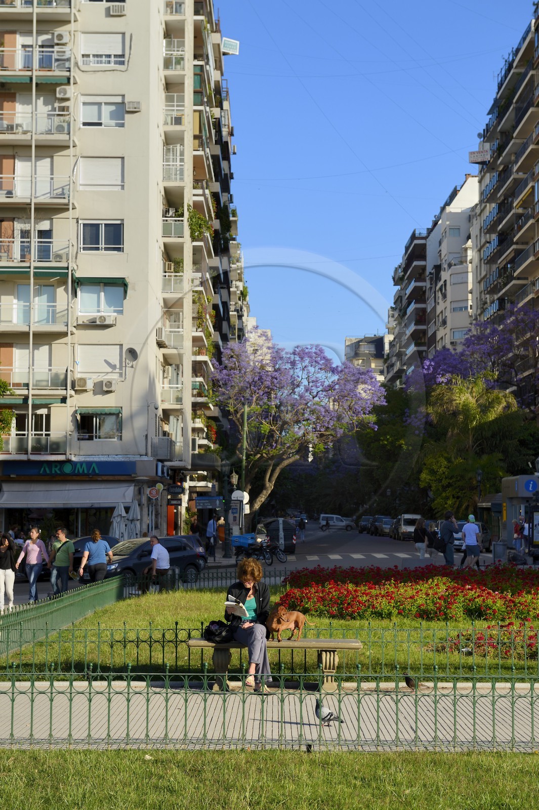 Argentine, Buenos Aires, quartier de la Recoleta, une femme et son chien