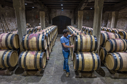 France, Cote d'Or, cultural Landscape of the climates of Burgundy listed as World Heritage by UNESCO, Route des Grands Crus (road of Vintage Wines), vineyard of the Côte de Nuits, Gevrey Chambertin, Domaine Dugat, Bertrand Dugat in the former Tithe Cellar of the Bishops of Langres where he stores his empty barrels or just after the harvest