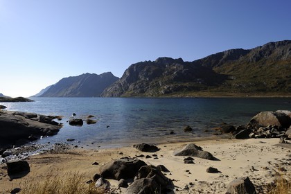 Norvège, Nordland, Iles Lofoten, Ile de Flakstadoy, petit bout de plage de sable blanc dans le Skjelfjorden