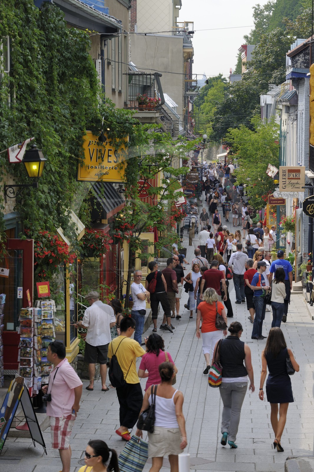 Canada, province de Québec, ville de Québec, Vieux-Québec classé Patrimoine Mondial de l' UNESCO, rue du Petit-Champlain dans la ville basse