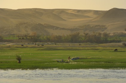 Egypte, Haute Egypte, vallée du Nil, barque de pêcheur sur le Nil entre Edfou et Kom Ombo