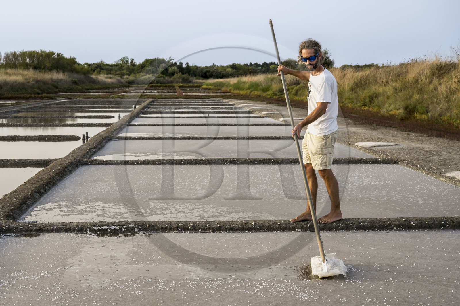 France, Charente-Maritime (17), Ile d'Oléron, Saint-Georges-d'Oléron, cueillette artisanale de la fleur de sel avec une lousse à fleur par le saunier Samuel Barbereau