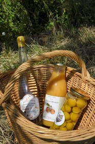 France, Meuse (55), Parc régional de Lorraine, Cotes de Meuse, Combres-sous-les-cotes, Domaine de Muzy, produits de la mirabelle