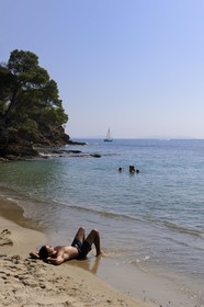 France, Var (83), Le Rayol-Canadel-sur-Mer, Domaine du Rayol, Jardin des Méditerranées, propriété du Conservatoire du Littoral, mention obligatoire, plage du départ du jardin marin
