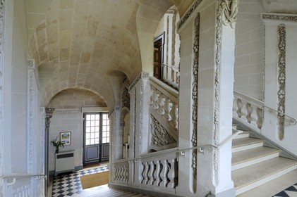 France, Loir-et-Cher (41), château de Cheverny, le grand escalier d'honneur cher à Hergé
