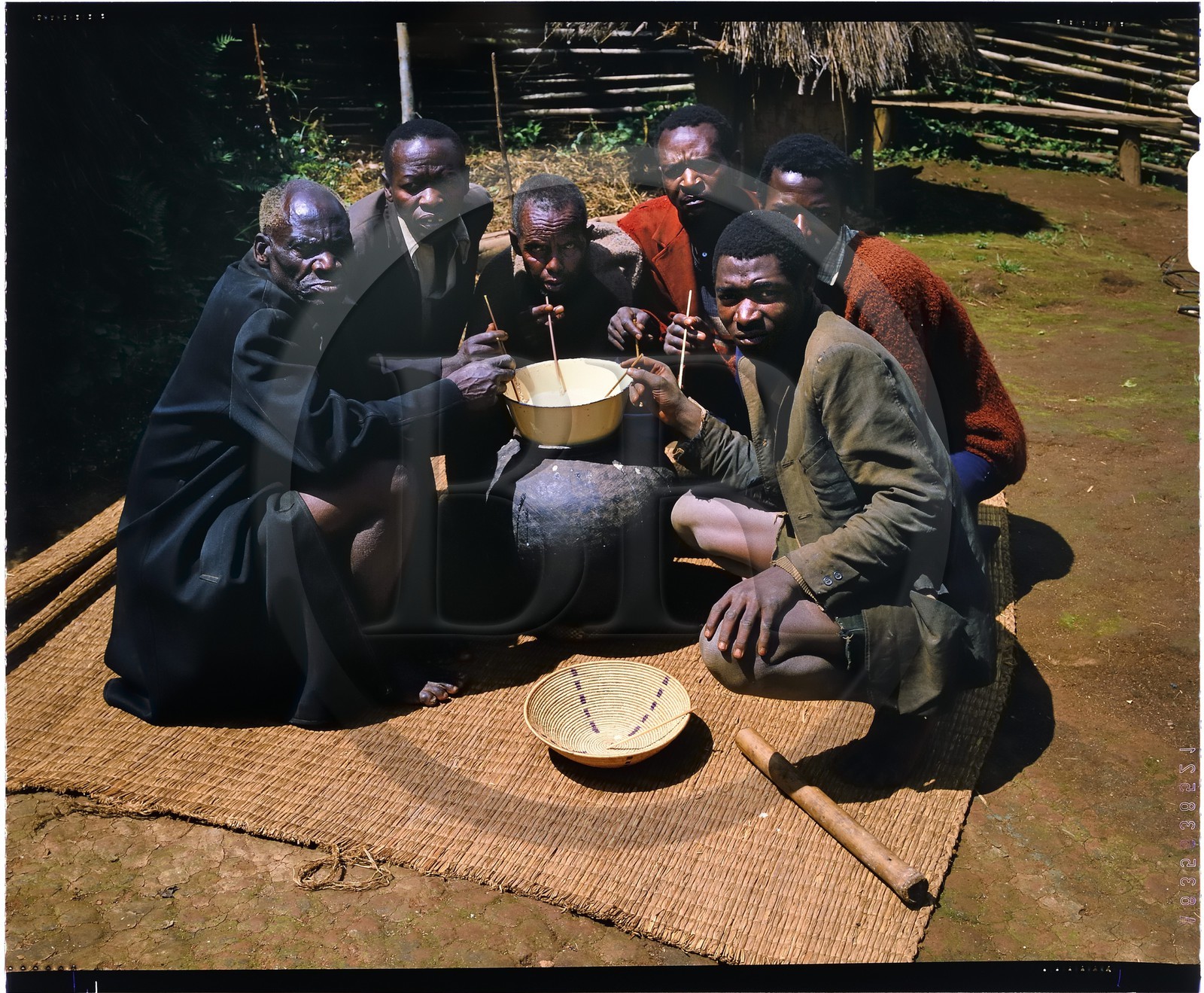 Burundi, province de Bujumbura, région d'Ijenda, des hommes devant une case traditionnelle sont en train de boire de la bière de sorgho (bière traditionnelle), il n'y a guère de circonstances de la vie des burundais où ceux-ci n'offrent et ne consomment de la bière, en fait une boisson faiblement alcoolisée obtenue à partir de sorgho, de banane voir de miel (reproduction plan-film inversible 4x5)