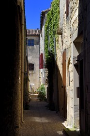 France, Dordogne, Perigord Pourpre, Beaumont du Perigord, fortified houses within the ancient walls of the bastide, carreyroux (small alley) de l'Ancienne Hospice