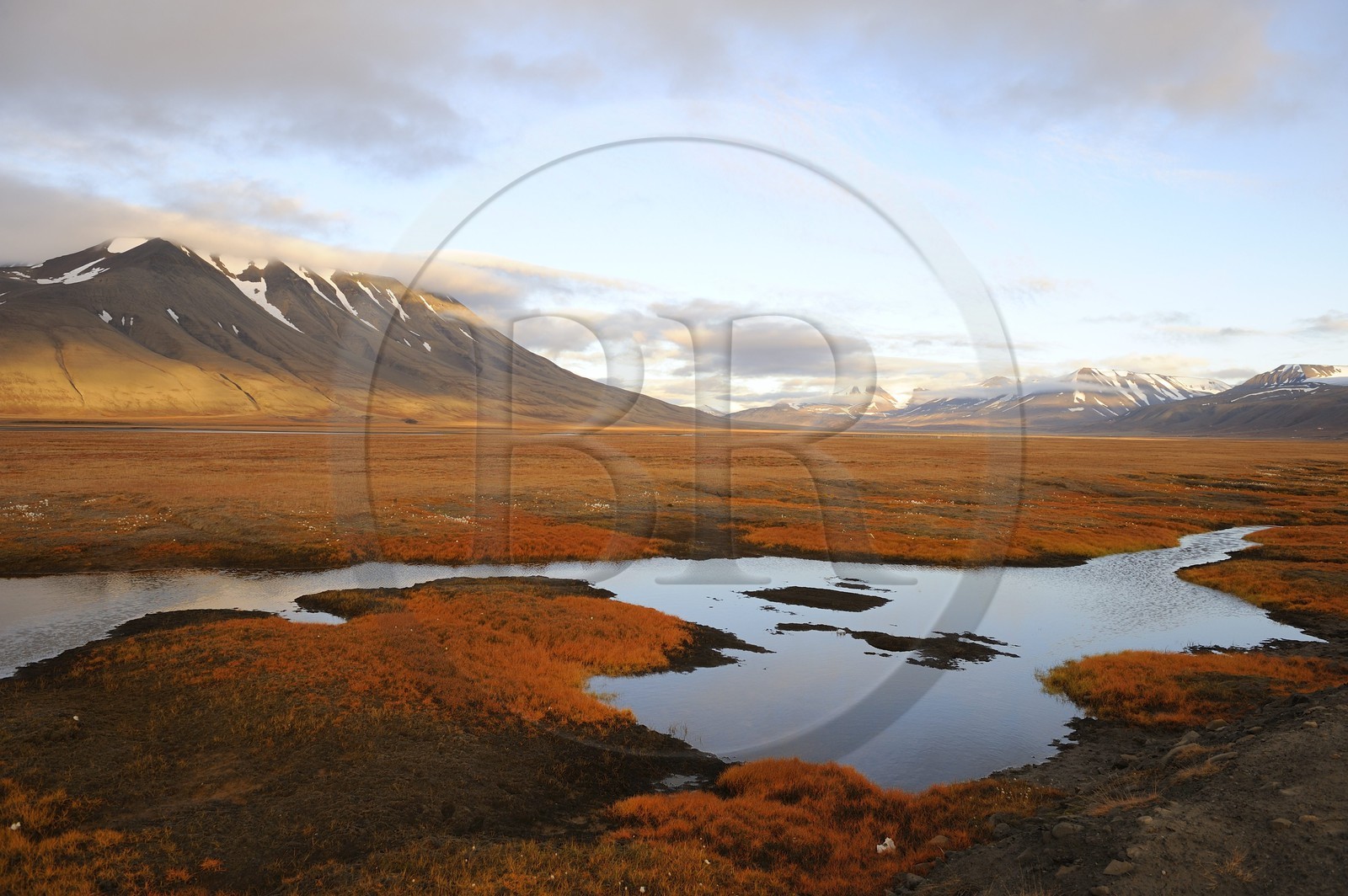 Norvège, Svalbard (Spitzberg), toundra dans la région de Longyearbyen