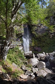 France, Cantal, Parc Naturel Régional des Volcans d'Auvergne (regional nature park of Auvergne volcanoes), Brezons valley, hamlet of Sanissage, the Saut de la Truite (trout jump) waterfall