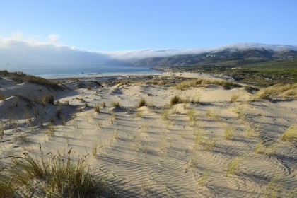 Portugal, région de Lisbonne, Cascais, plage de Guincho sur la côte d'Estoril