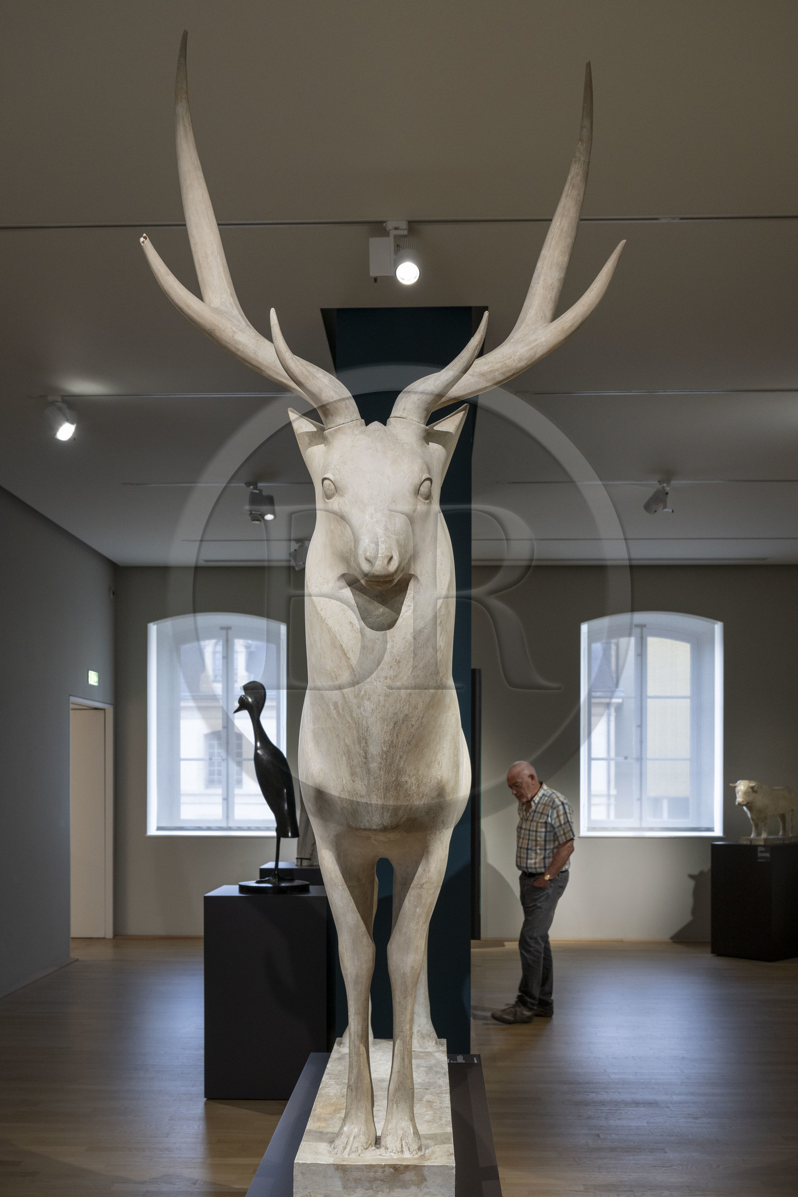 France, Côte-d'Or (21), Dijon, zone classée Patrimoine Mondial de l'UNESCO, Musée des Beaux-Arts dans l'ancien palais des ducs de Bourgogne,  nouvel espace dédié au sculpteur bourguignon François Pompon (1855-1933)