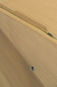 France, Seine-Maritime (76), travaux agricoles, goélands se nourissent dans la terre retournée par le tracteur (vue aérienne)