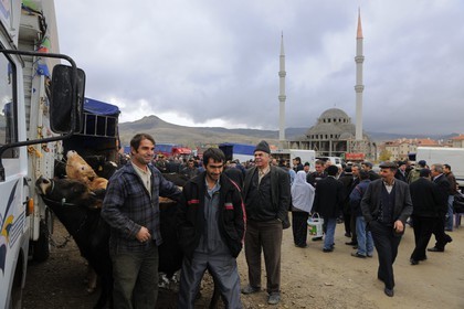 Turquie, Anatolie Centrale, province de Nevsehir, Cappadoce classée Patrimoine Mondial de l'UNESCO, marché aux bestiaux d' Ürgüp