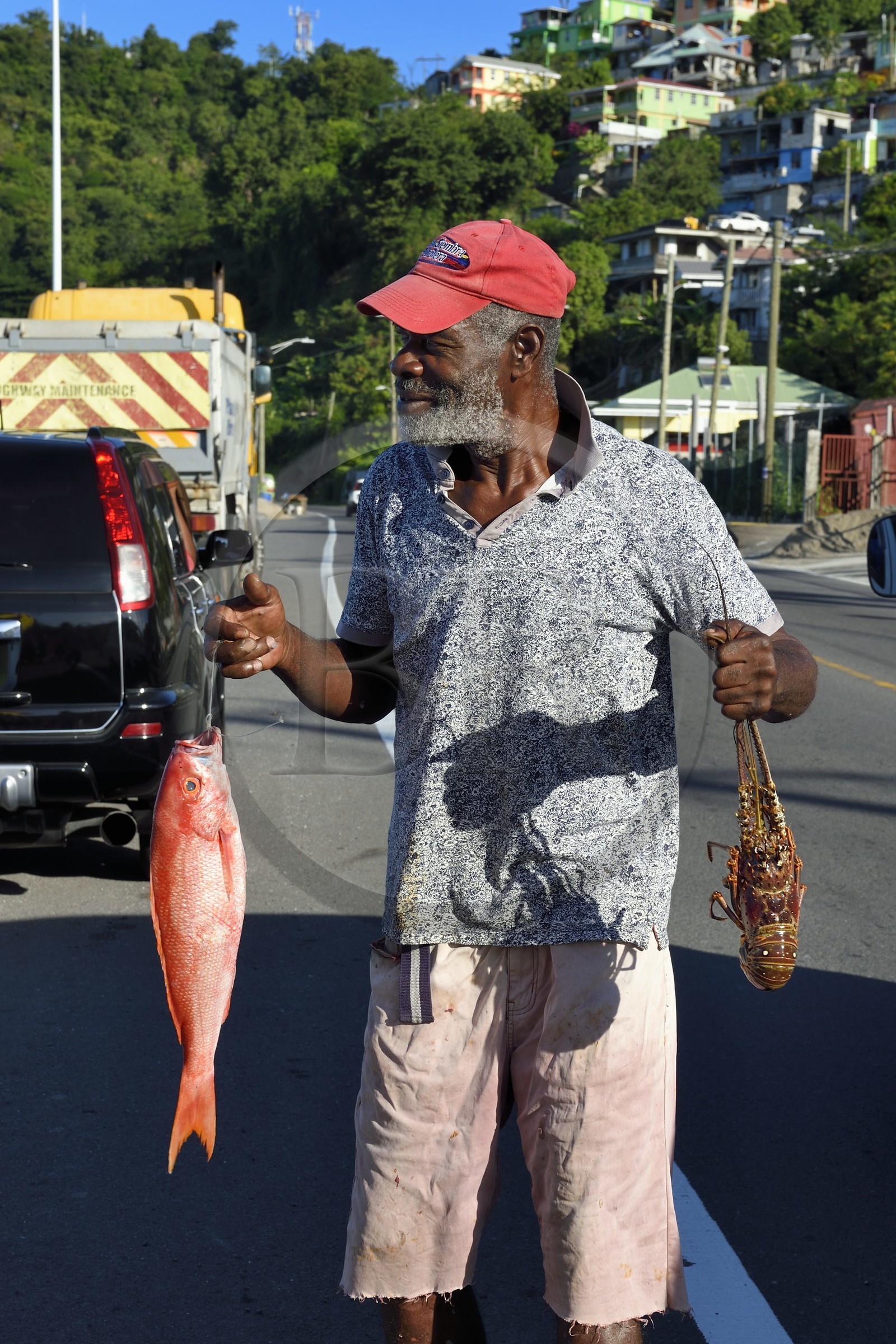 Caribbean, Dominica Island, the capital city Roseau, roadside fish seller