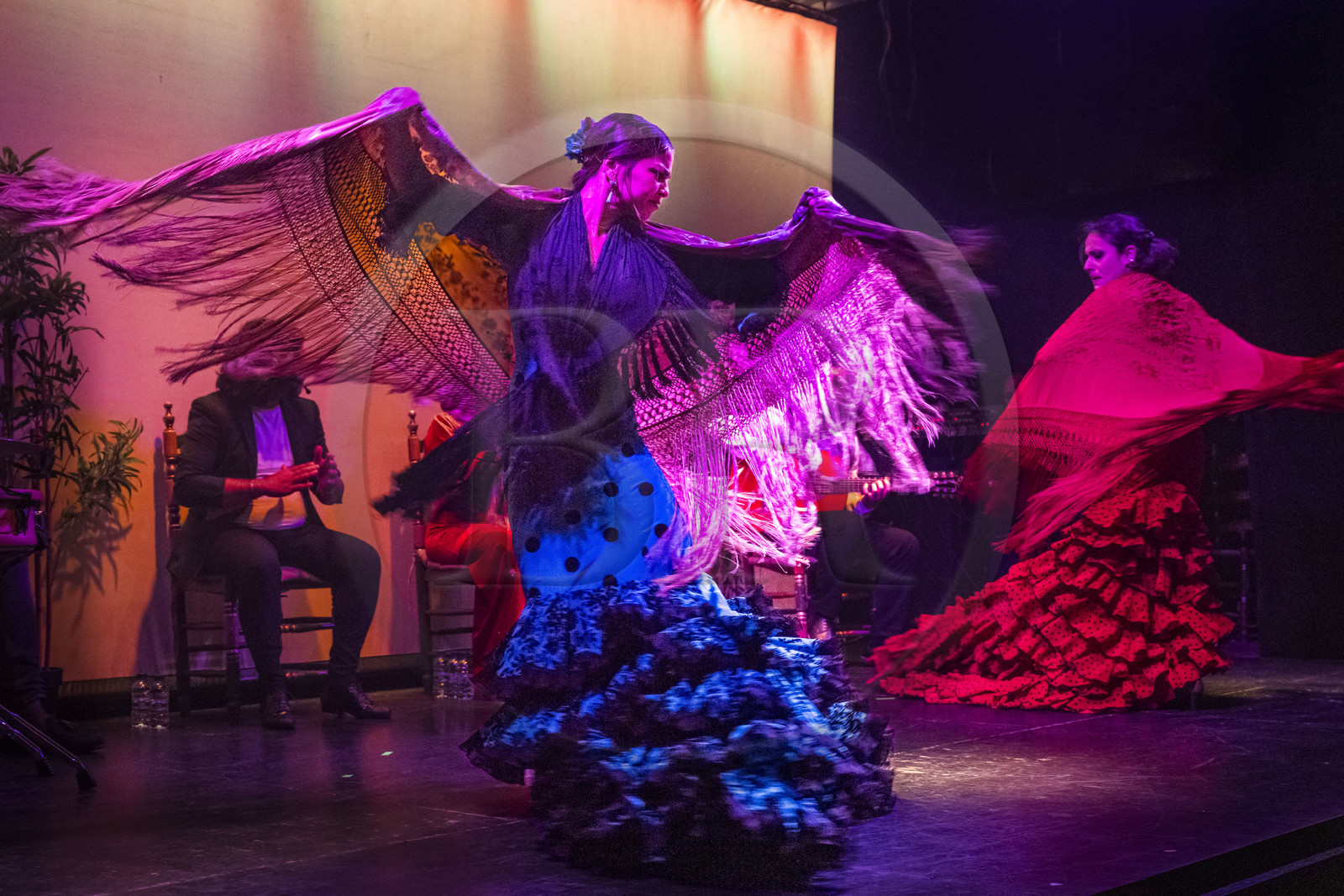 Espagne, Catalogne, Barcelone, City Hall Barcelona, spectacle de danse Flamenco