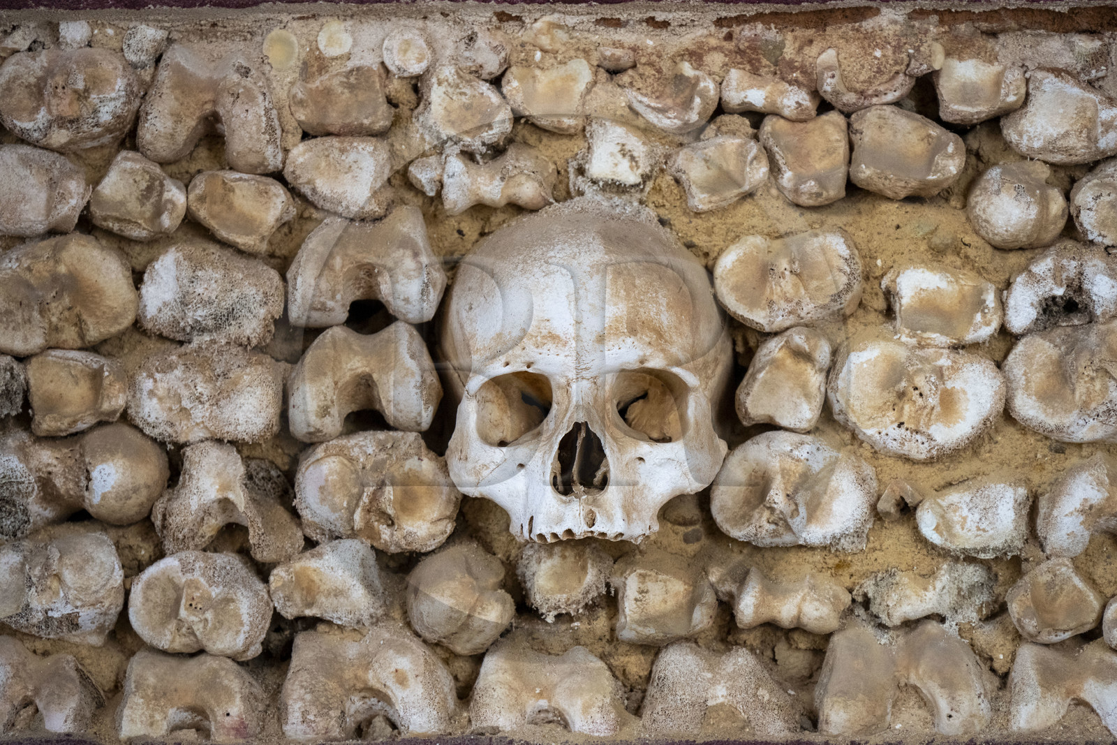 Portugal, Algarve, Faro, la vieille ville,