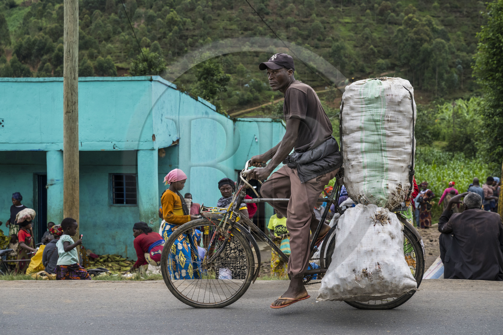 Rwanda, Province du Nord, District de Musanze (Ruhengeri), jour de marché à Muryabazira sur la Route Nationale 4 entre Kigali et Ruhengori, transport de gros sacs sur une bicyclette, les bicyclettes sont le principal moyen de transport local