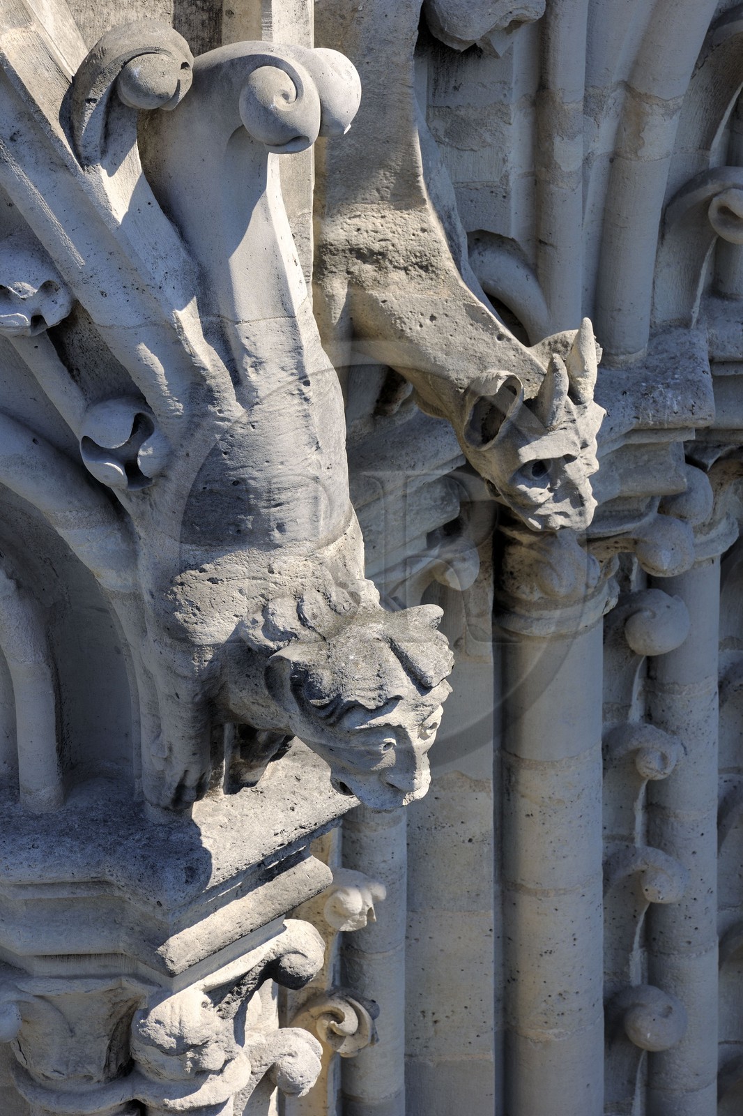 France, Paris (75), île de la Cité, la cathédrale Notre-Dame, les chimères observent la ville France, Paris (75), île de la Cité, la cathédrale Notre-Dame, les chimères observent la ville