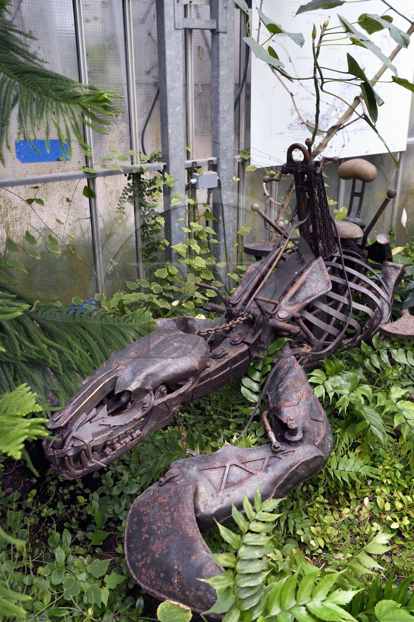 France, Loire-Atlantique (44), Nantes, galerie des Machines de l'Ile dans les hangars des anciens chantiers navals, projet artistique conçu par François Delarozière et Pierre Orefice, la Taupe Mécanique
