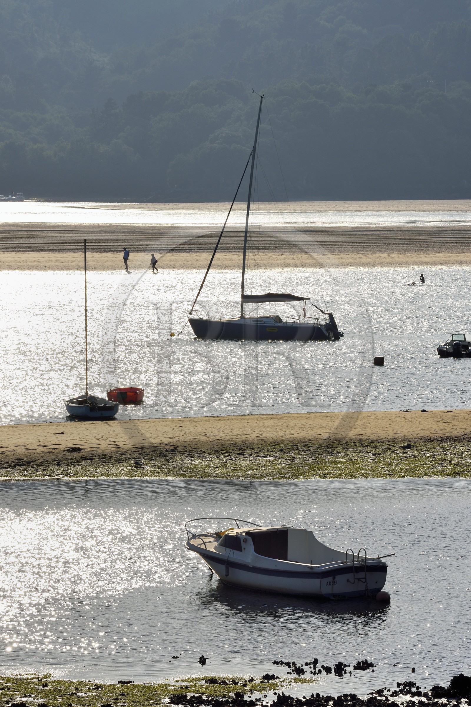 Espagne, Pays basque espagnol, Biscaye, région de Gernika-Lumo, Réserve de biosphère d'Urdaibai, estuaire du fleuve Oka à marée basse au sud de Mundaka, petit mouillage de Laida