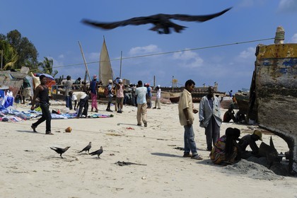 Tanzania, Dar es-Salaam, intense activity of repairing hulls and nets on the beach serving the Kivukoni fish market