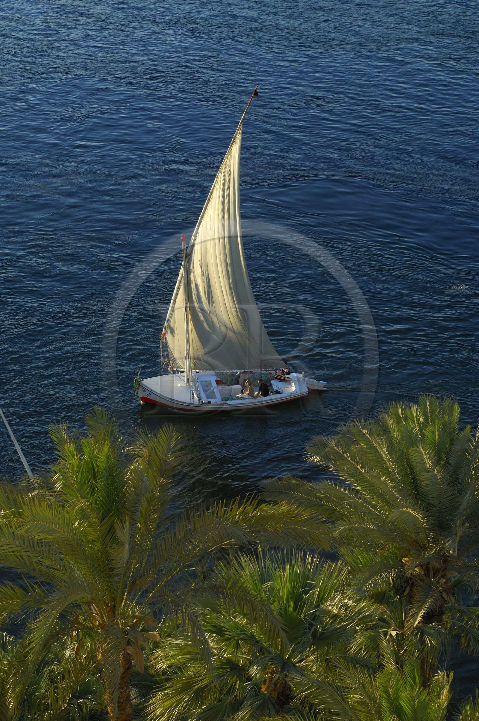 Egypte, Haute Egypte, vallée du Nil, Assouan, felouques sur le Nil