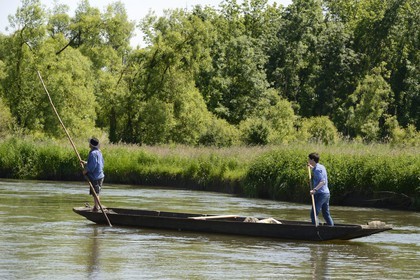 France, Bas Rhin, Ebersmunster and Muttersholtz region, the Ried, the boatman Patrick Unterstock in a small flat wooden bottom boat on the Ill river
